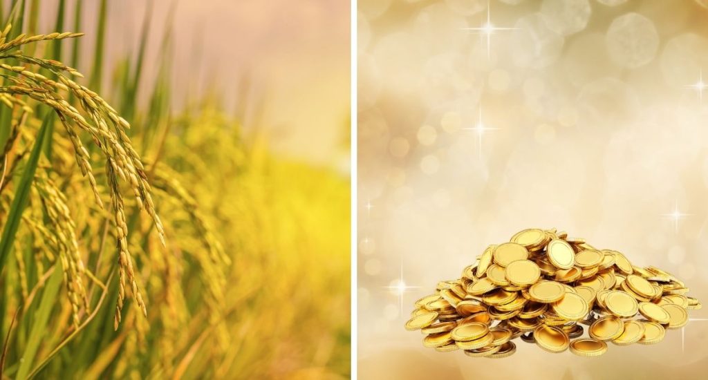 The Rise of Gold and Rice